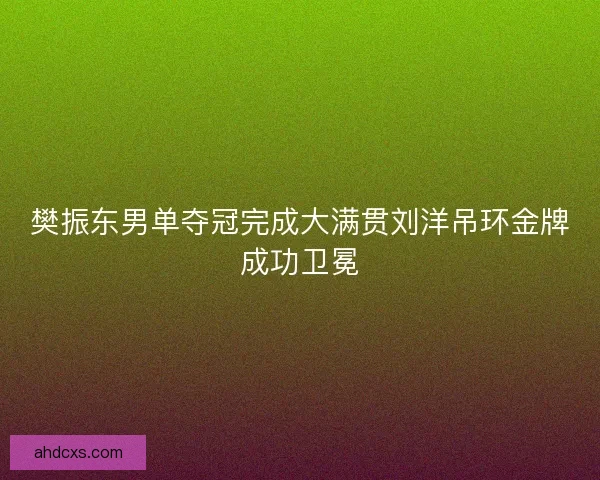 樊振东男单夺冠完成大满贯刘洋吊环金牌成功卫冕