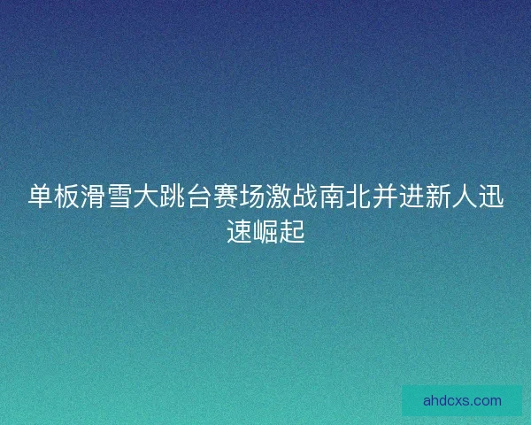 单板滑雪大跳台赛场激战南北并进新人迅速崛起